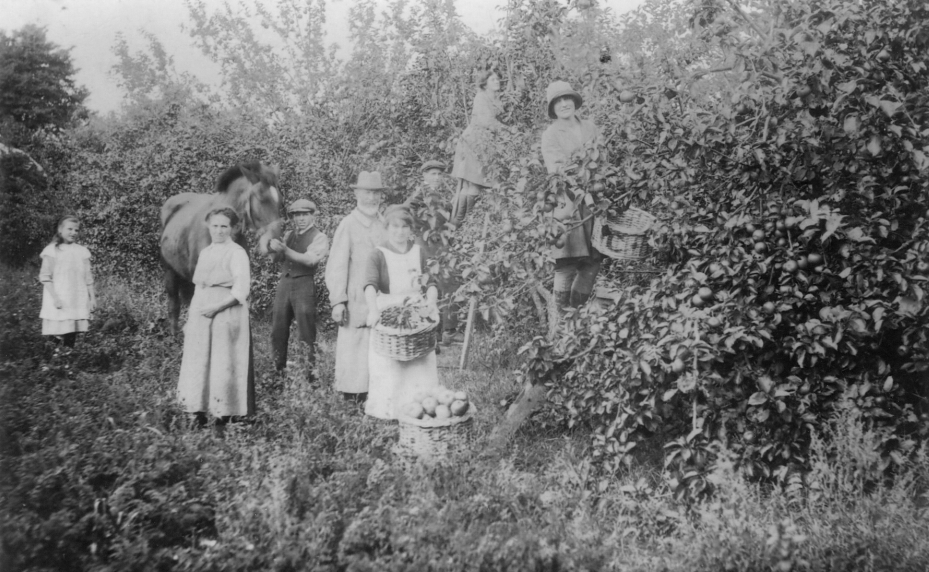 Jam factory memories 1960s1990s Market Lavington Museum