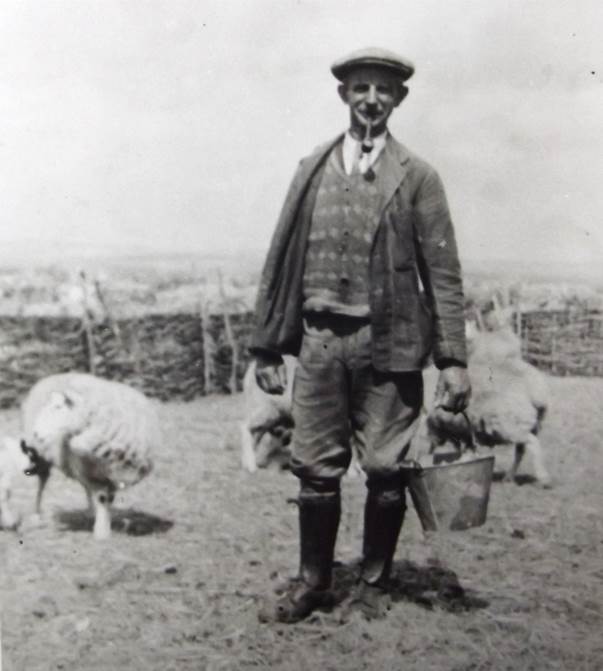 Bob Potter of Market Lavington tending his sheep