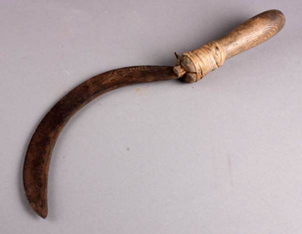 Early 20th Century willow hook used by the Mullings family in Market Lavington