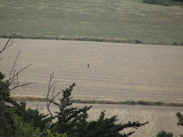 The lonely life of the metal detectorist on the fields above Market Lavington