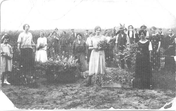 Picking flowers. Bertha Moore is the lady in the centre