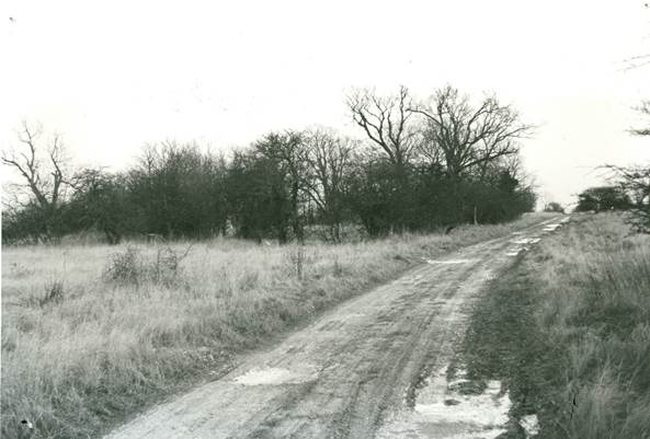 Site of Philpotts Farm still delineated by the shelter belt of trees in the 1970s