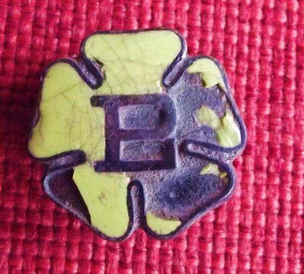 Primrose League badge - probably of pre 1920 type - found on the old recreation ground in Market Lavington
