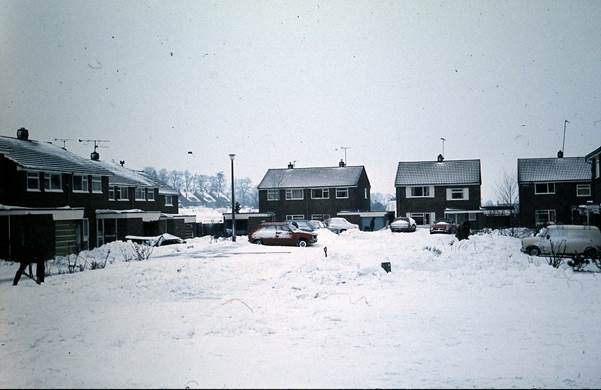 The 1982 winter as recorded in Yeoman Close, Market Lavington