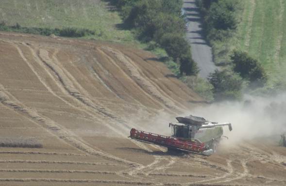 Large combine harvester at worjk on Lavington Hill in September 2012