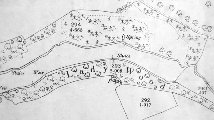 1900 map extract showing Lady Wood and nearby pine woods