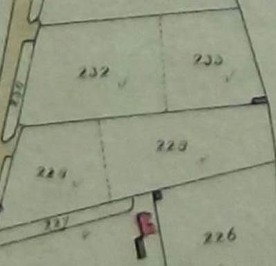 Plot 229 on the tithe map