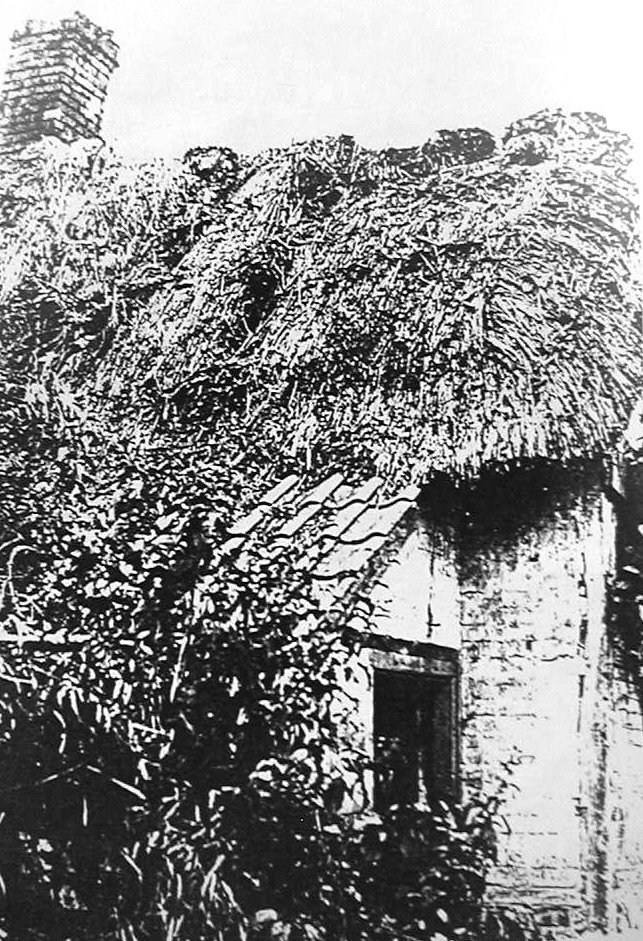 William Willis once lived in this old cottage on Northbrook, Market Lavington. The photo was taken in about 1910.